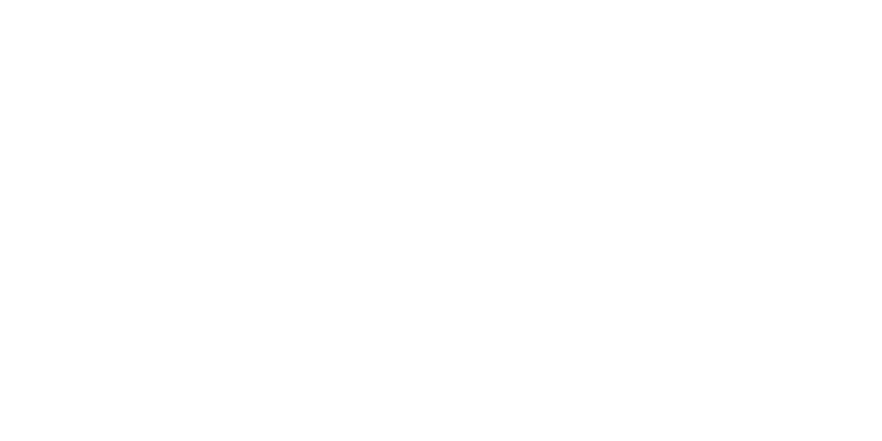 Singularity Chamber of Commerce Logo